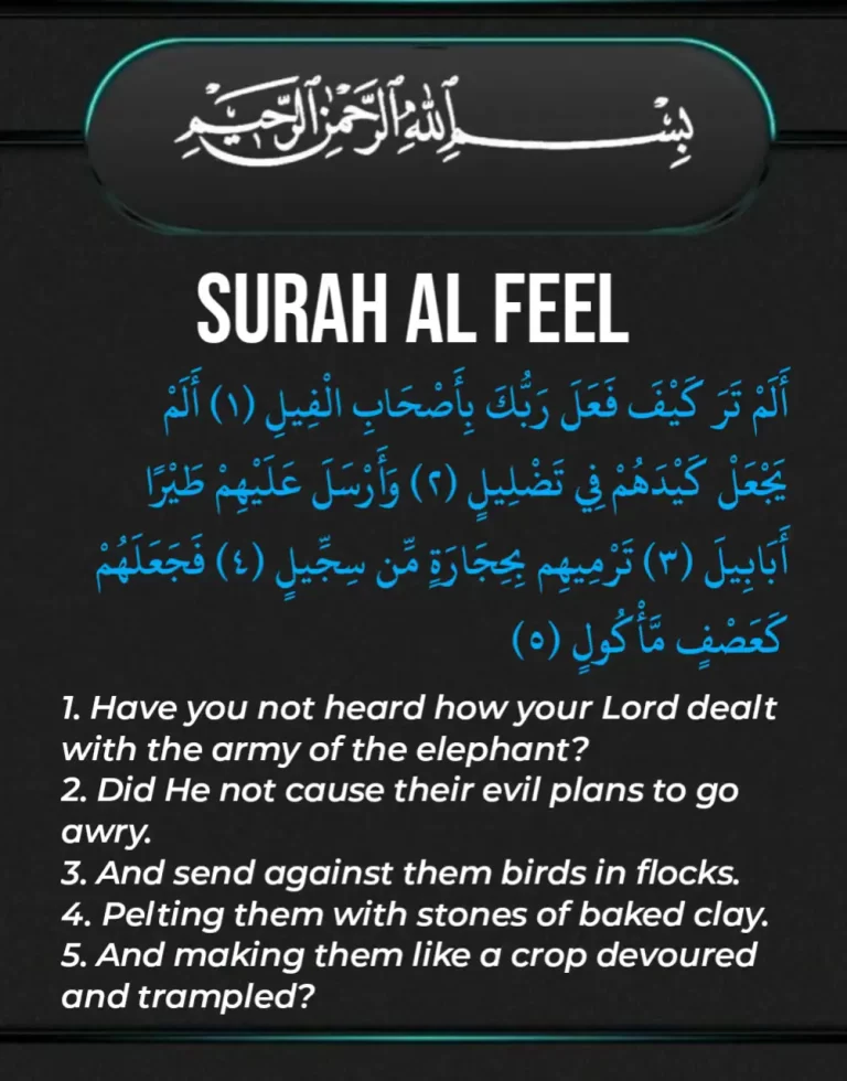 Alam Tara Kaifa Surah Translation in English, Arabic, and Transliteration (Sural Al Fil)
