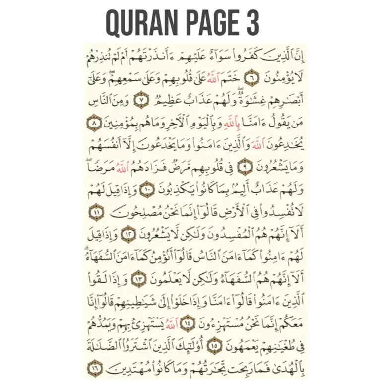 Quran Page 3 Full Translation In English