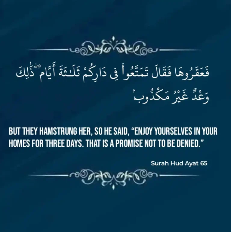 Surah Hud Ayat 65 Arabic Text With Translations