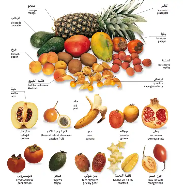 Fruit in Arabic 