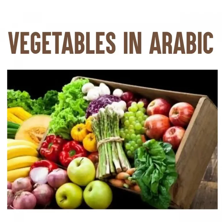 40 Vegetables in Arabic – Most Common