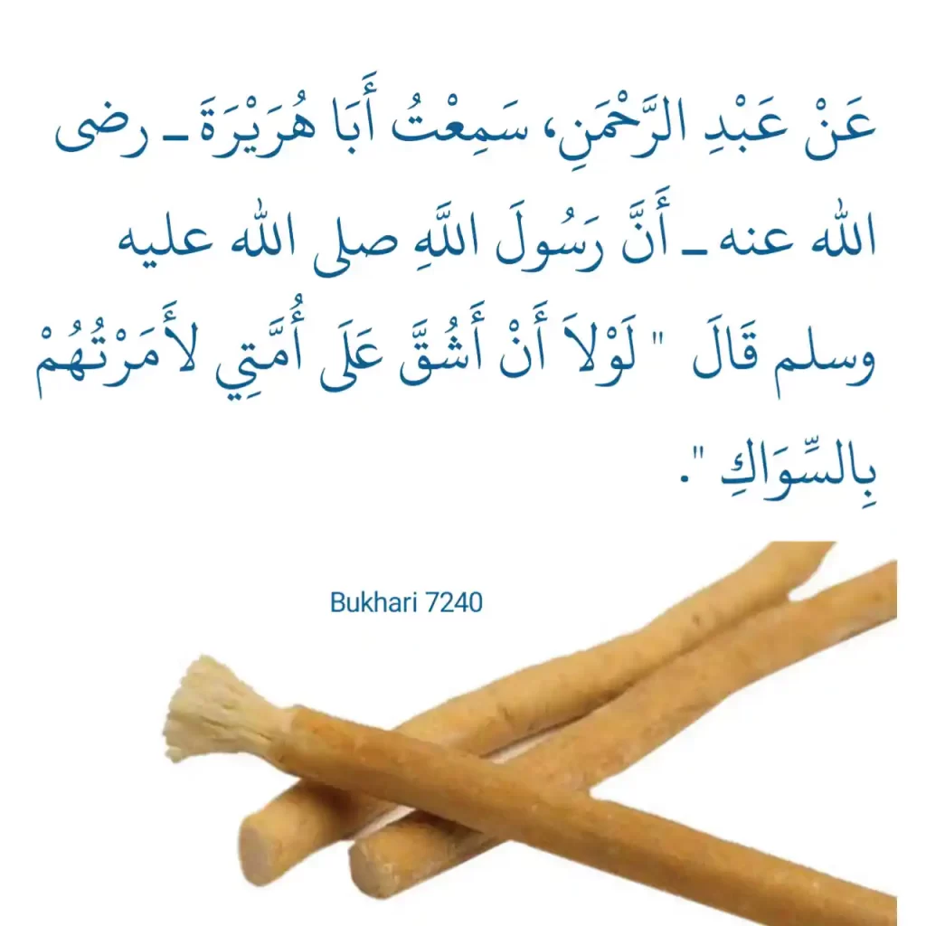 Miswak Hadith In Arabic 