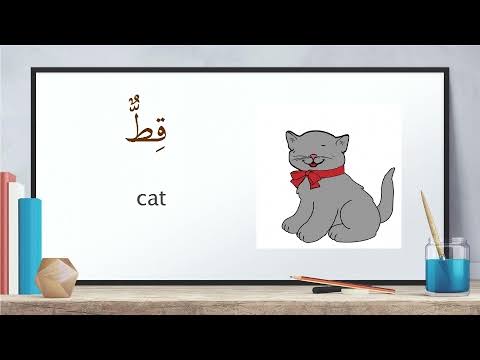 Cat In Arabic