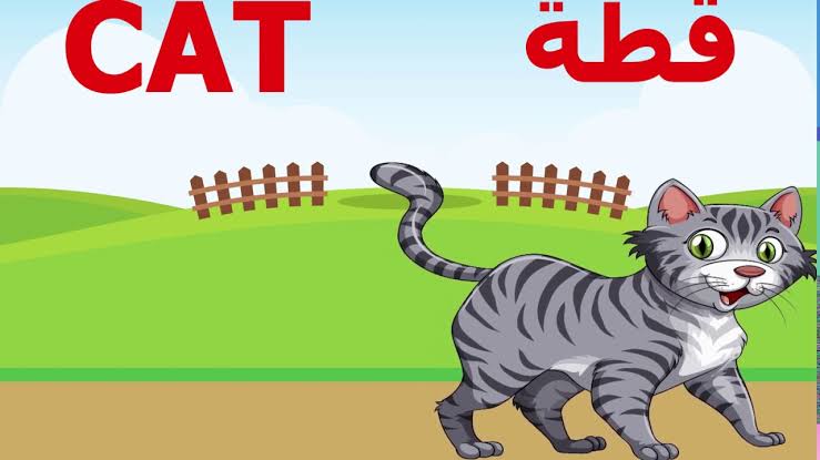 Cat In Arabic
