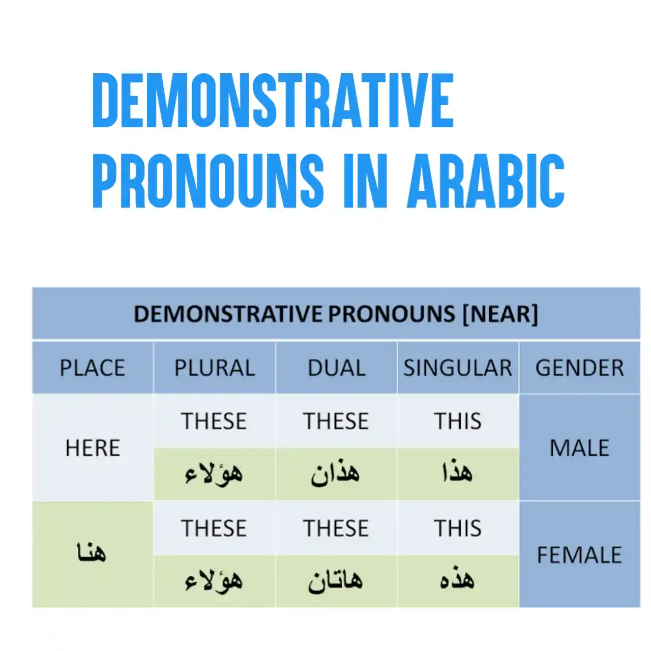 Define Pronoun In Arabic