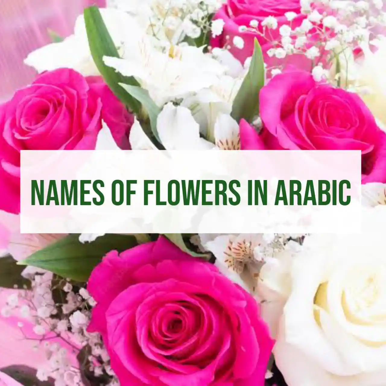 Flower in Arabic