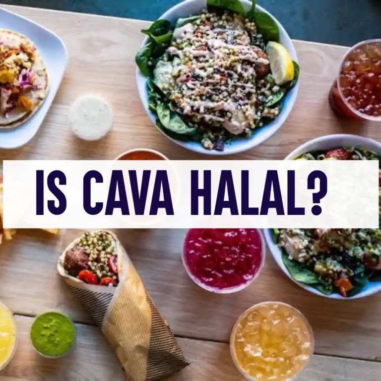 Is CAVA Halal (What You Should Know About The Restaurant, Meat, And Chicken)