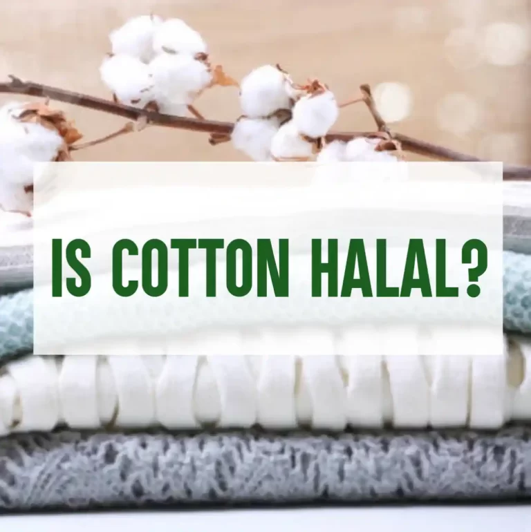 Is Cotton Halal? Everything You Need To Know