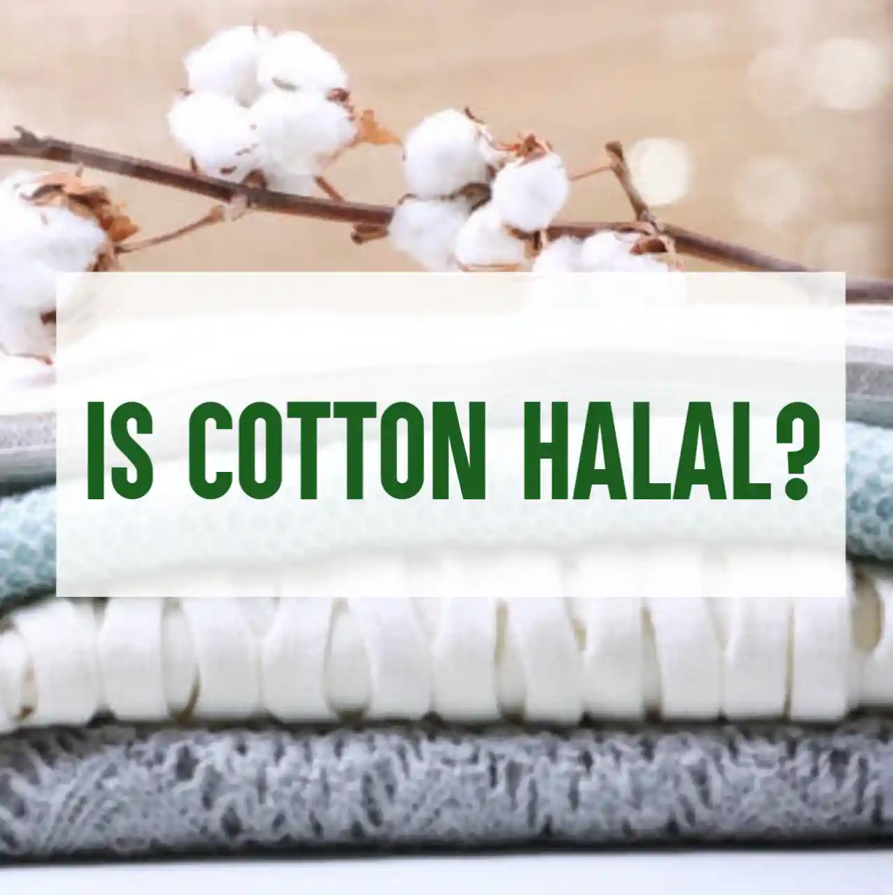 Is Cotton Halal