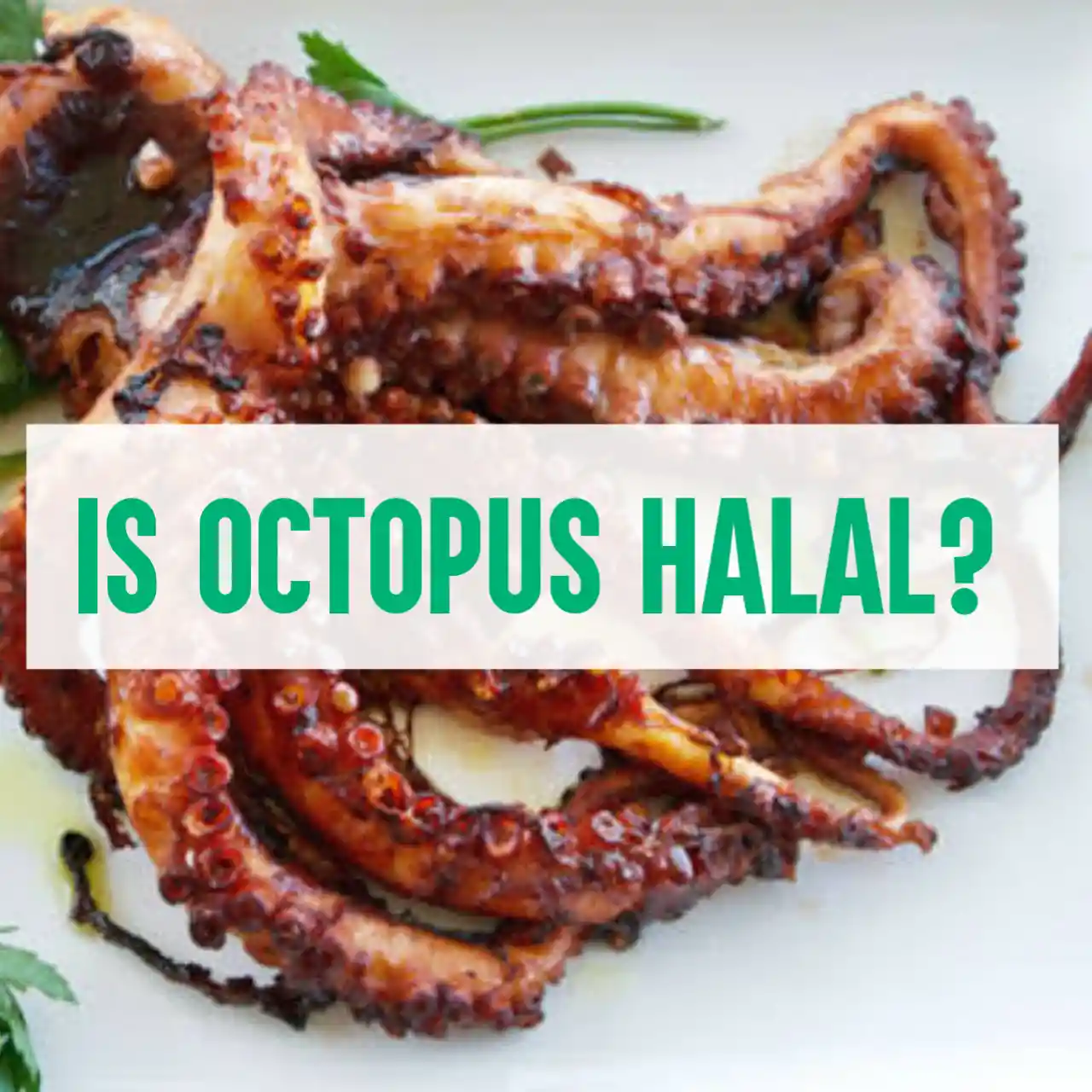 Is Octopus Halal