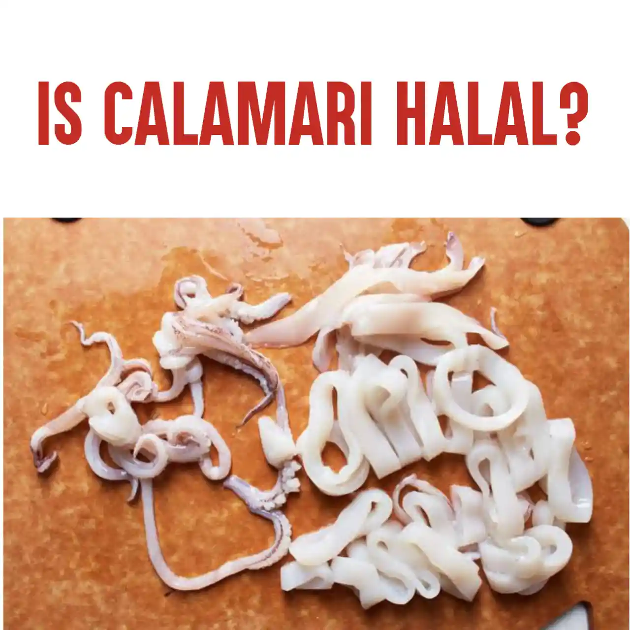 Is Calamari Halal