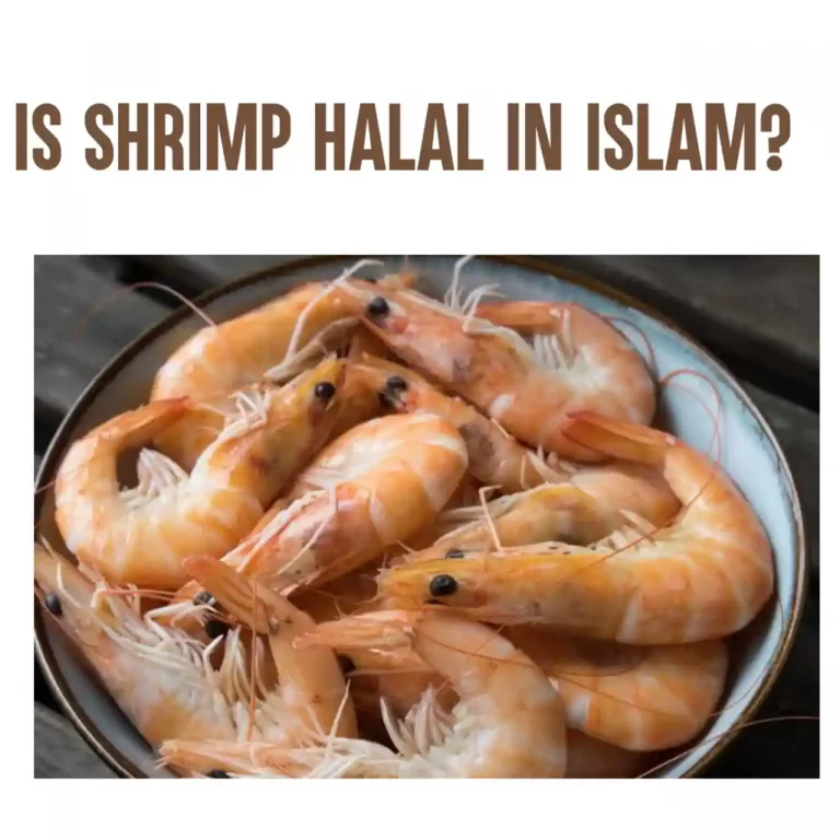 Is Shrimp Halal Or Haram In Islam?
