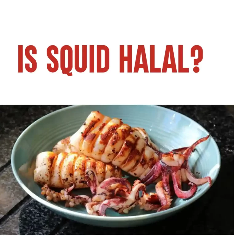 Is Squid Halal? The ANSWER You Need To Know