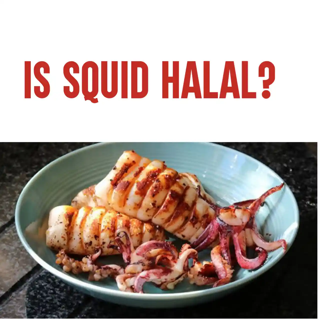 is-squid-halal-the-answer-you-need-to-know