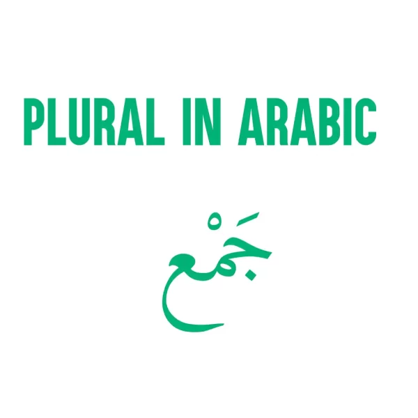 Plural In Arabic: A MASTER Guide On Arabic Plurals