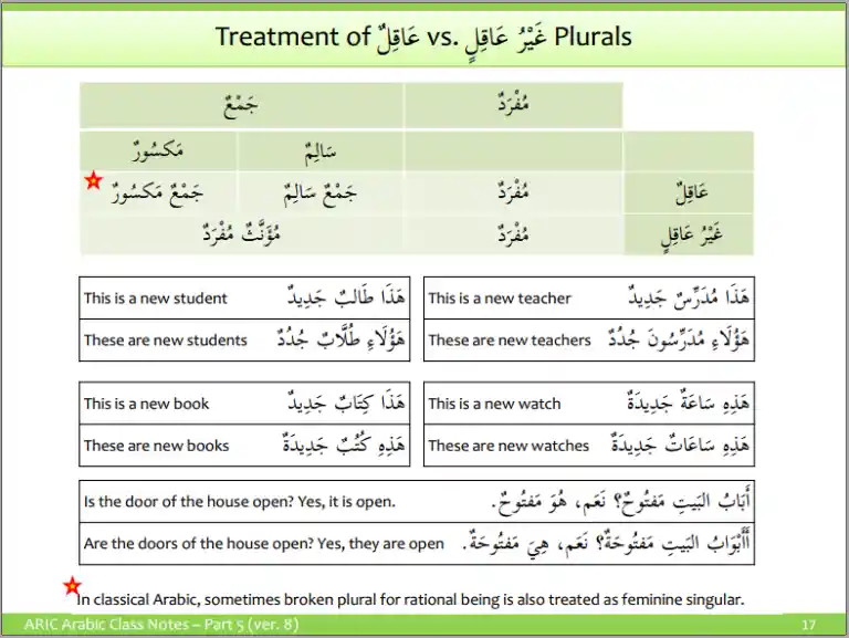 Plural In Arabic
