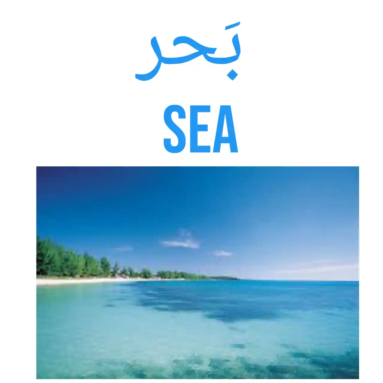 Sea in Arabic