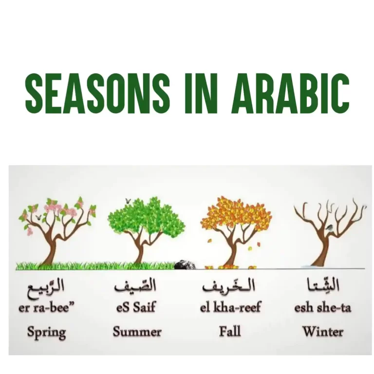 4 Seasons In Arabic (How To SAY Them In Arabic)
