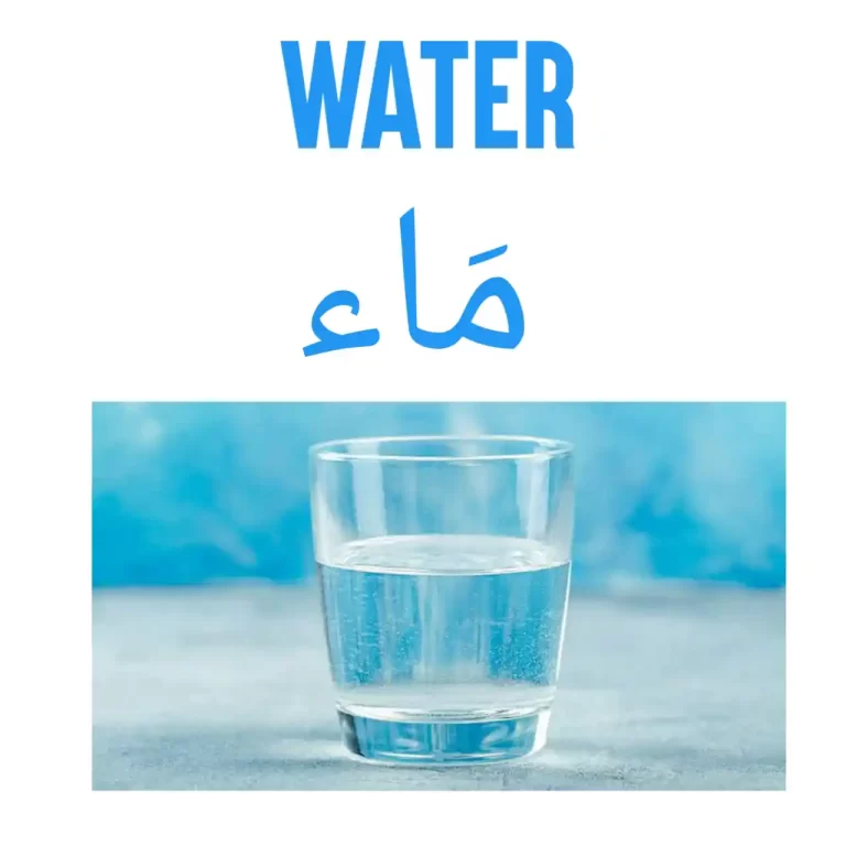 How To Say Water In Arabic (Coconut Water, Hot And Cold Water)