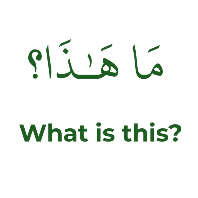 What Is This In Arabic, Examples And How To Say It