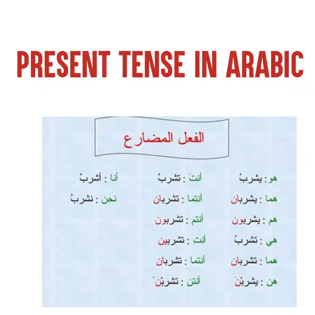 Present Tense In Arabic CONJUGATION 14 Forms And Examples