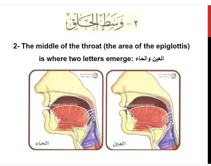 Throat Letters In Arabic