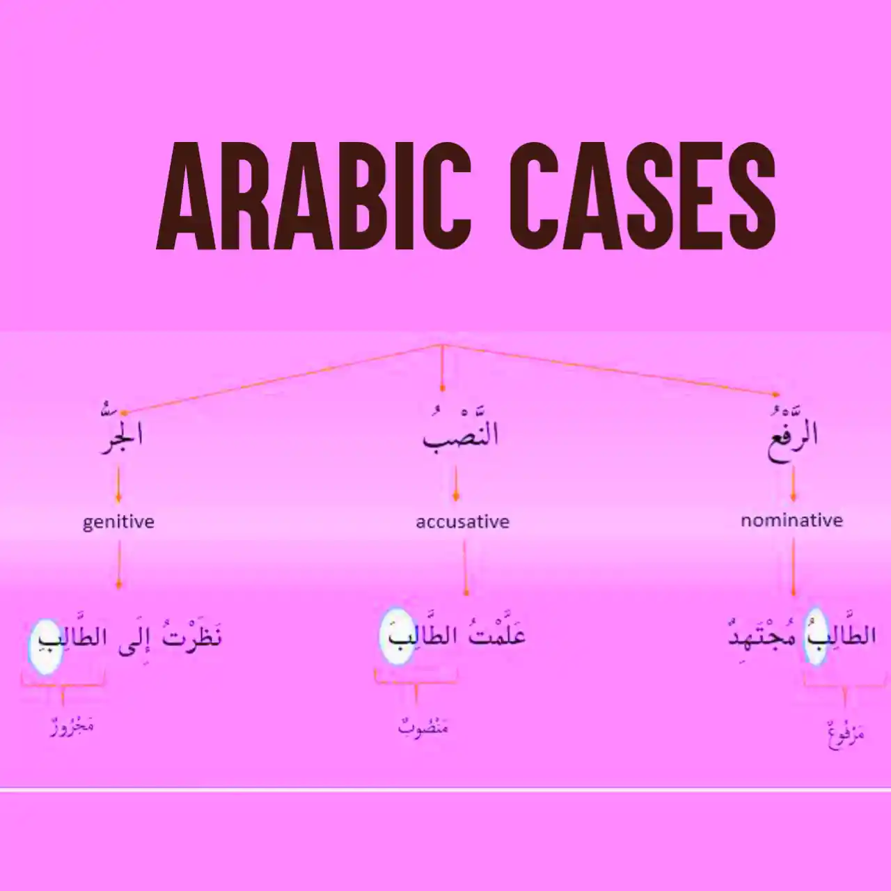 Arabic Cases Meaning Types And Examples