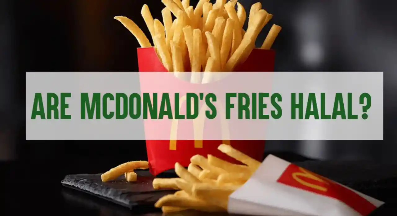 Are Mcdonald's Fries Halal