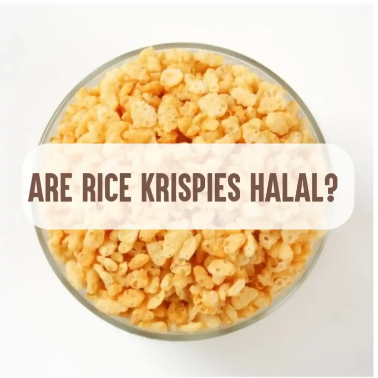 Are Rice Krispies Halal? Things To Know About Rice Krispies Treats and Kelloggs