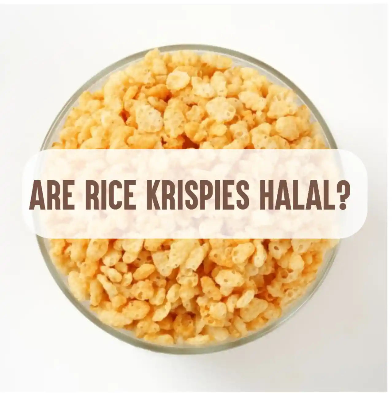 Are Rice Krispies Hala