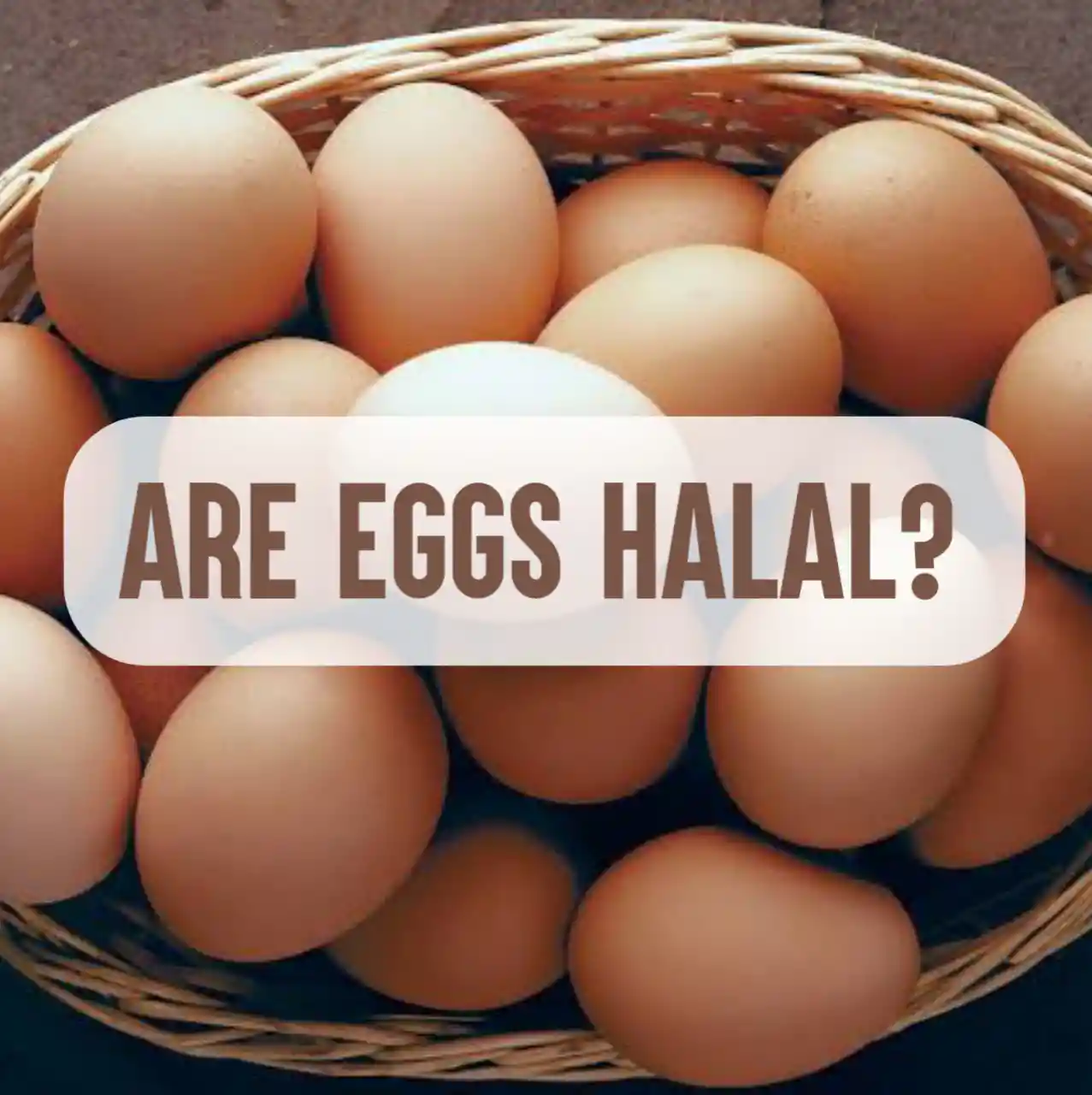 Are eggs halal