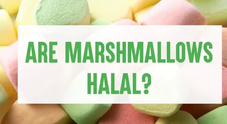 Are Marshmallows Halal? The Halal’s Guide to Marshmallows