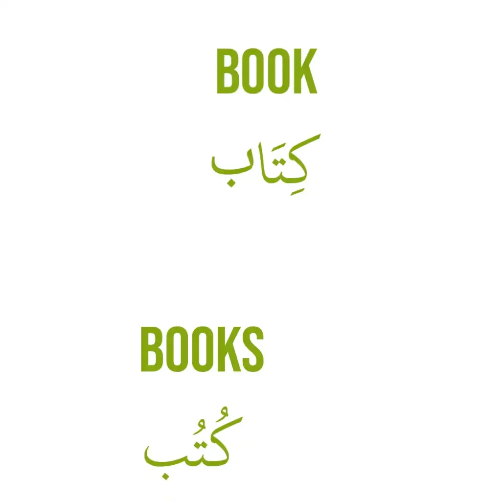 Book in Arabic 