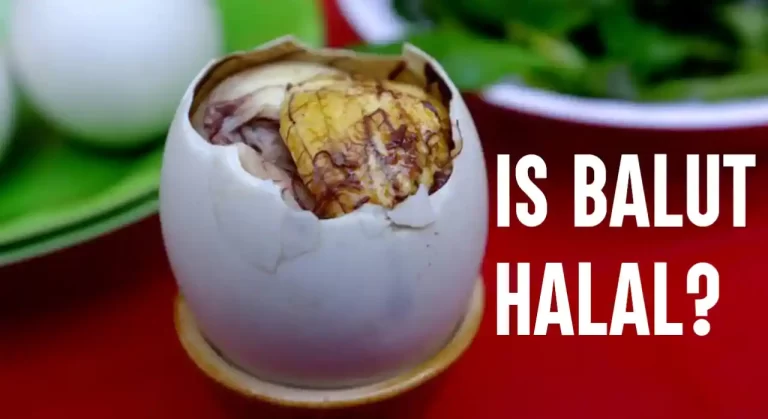 Is Balut Halal? What You Need To Know