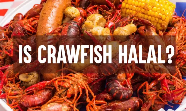 Is Crawfish Halal In Islam? (Crayfish)