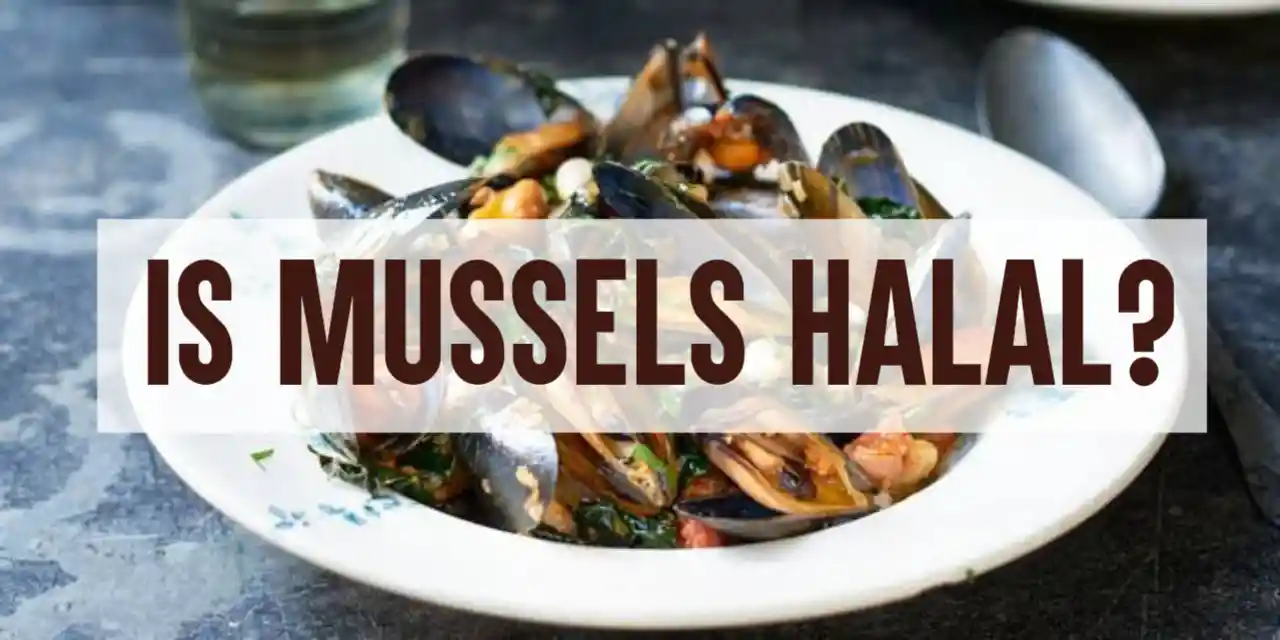 Is Mussels Halal