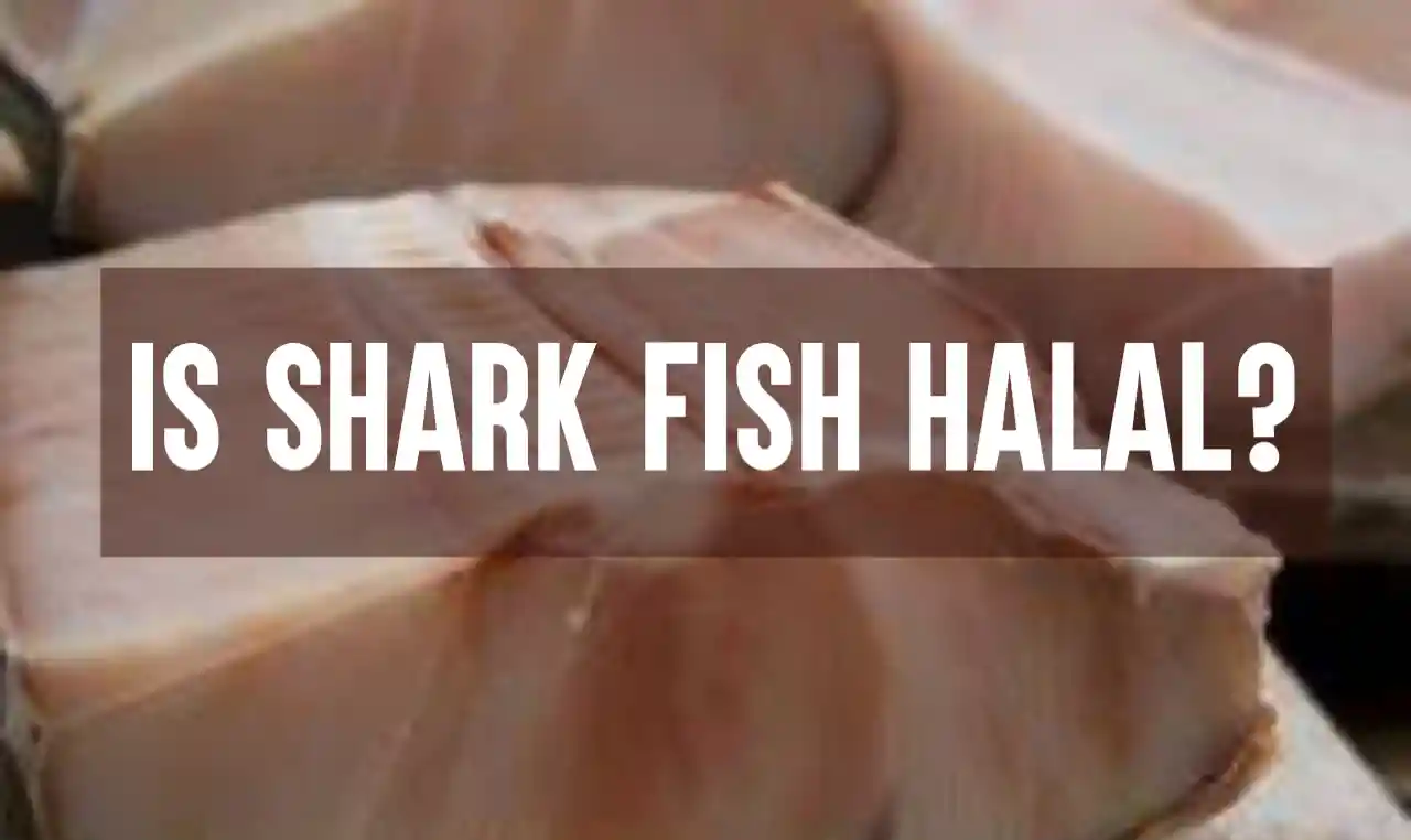 Is Shark Halal
