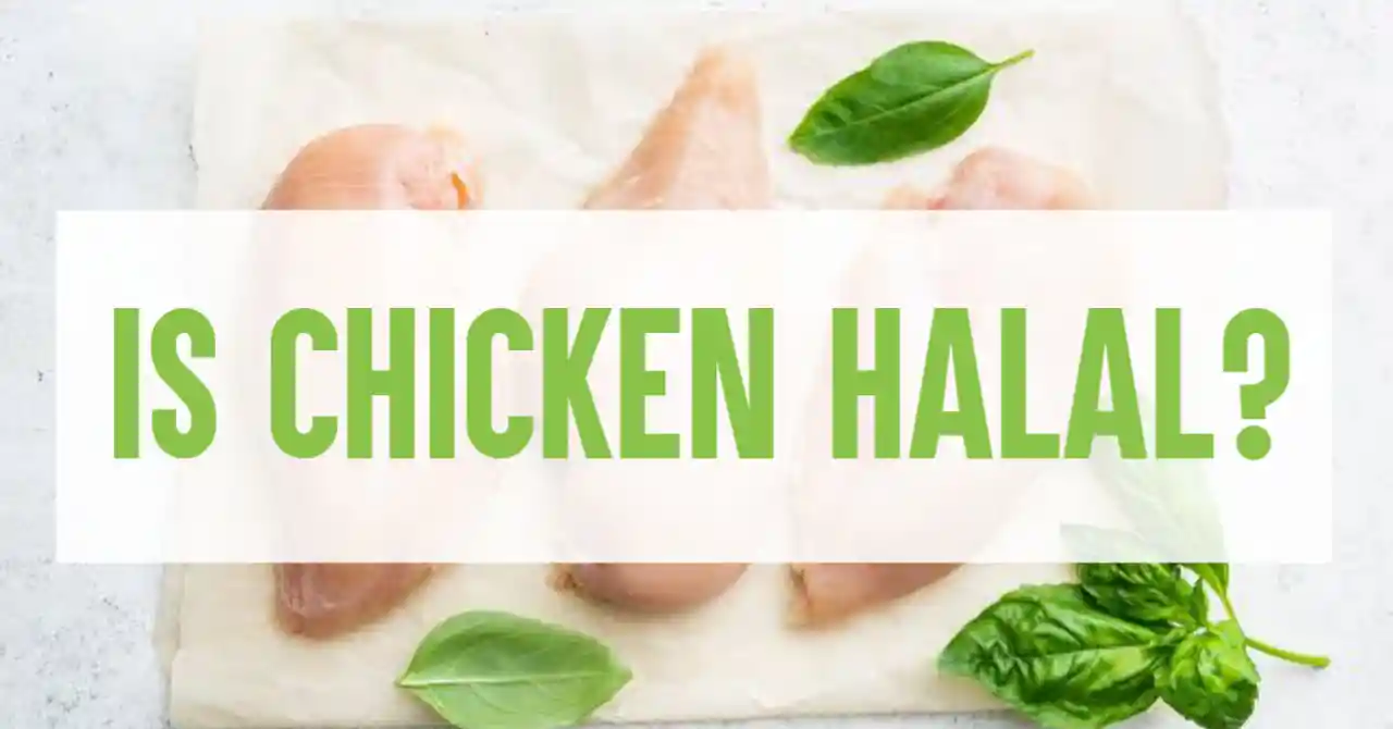 Is Chicken Halal