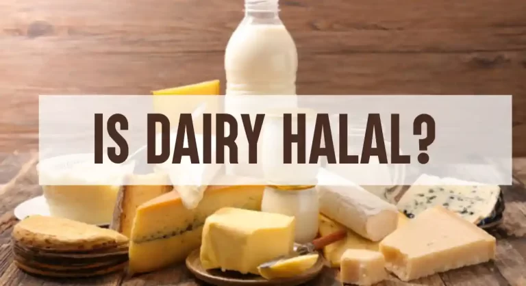 Is Diary Halal? What You Need To Know