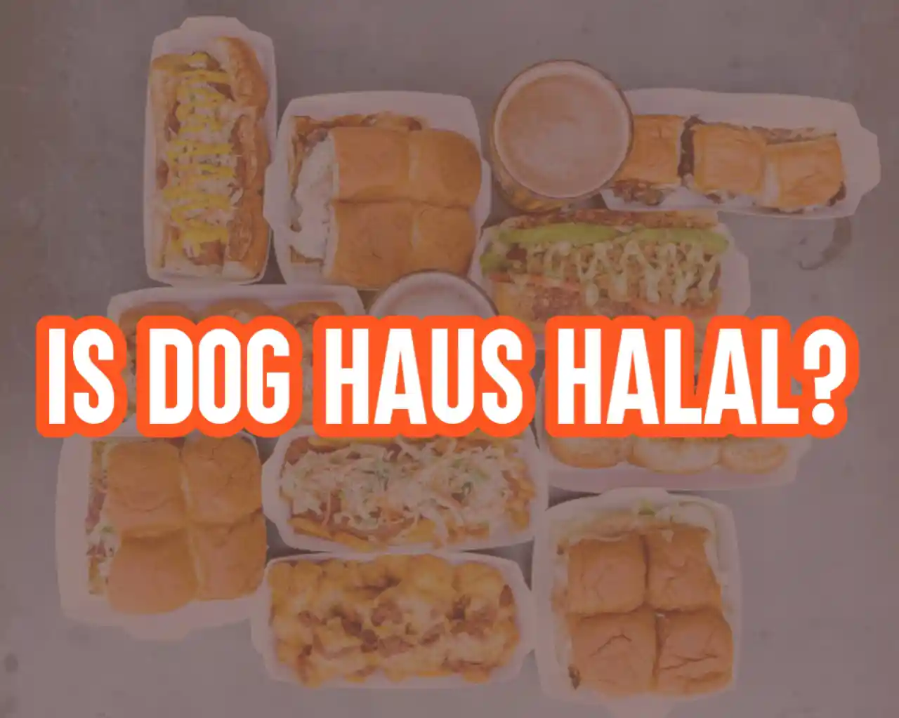 Is Dog Haus Halal