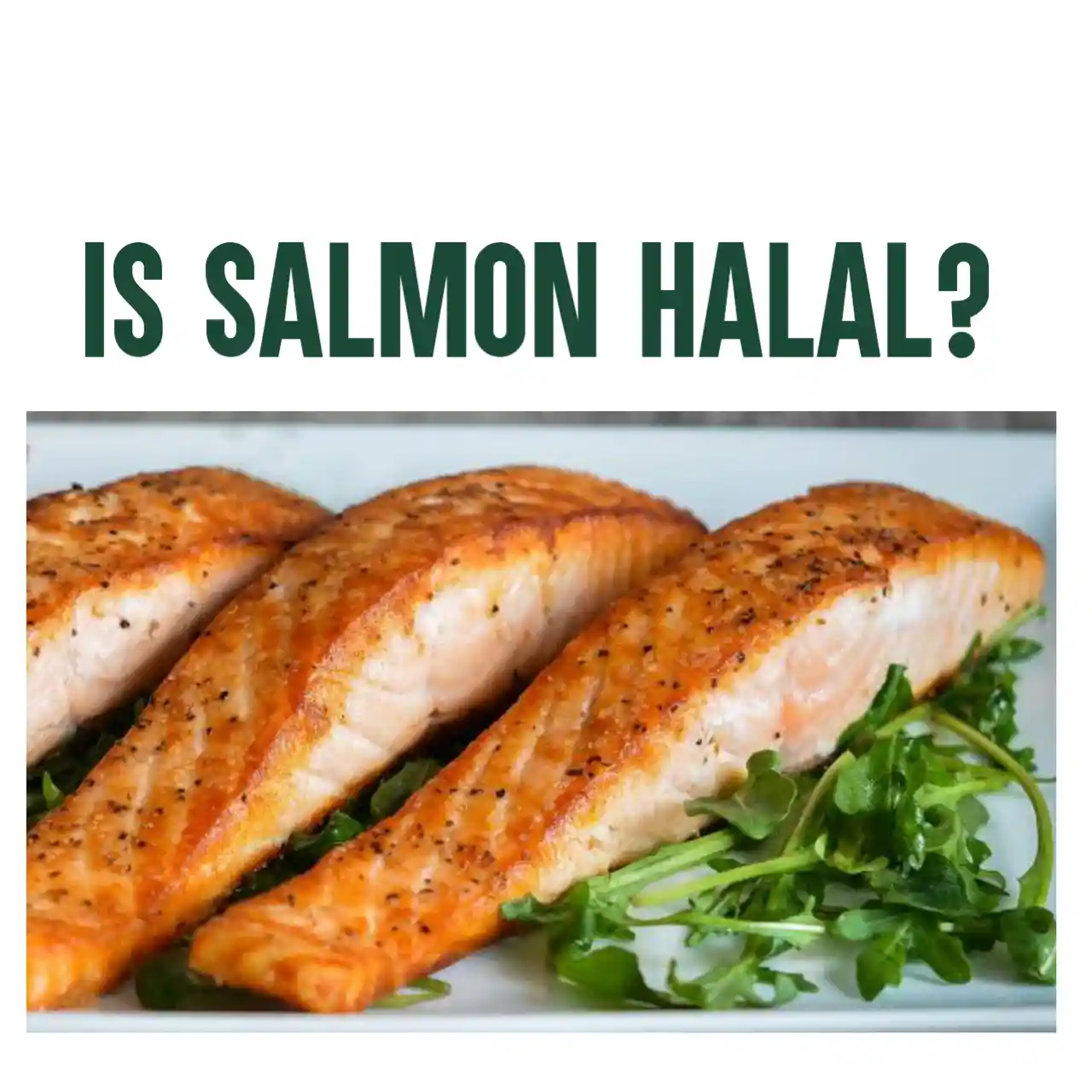 Is Salmon Halal