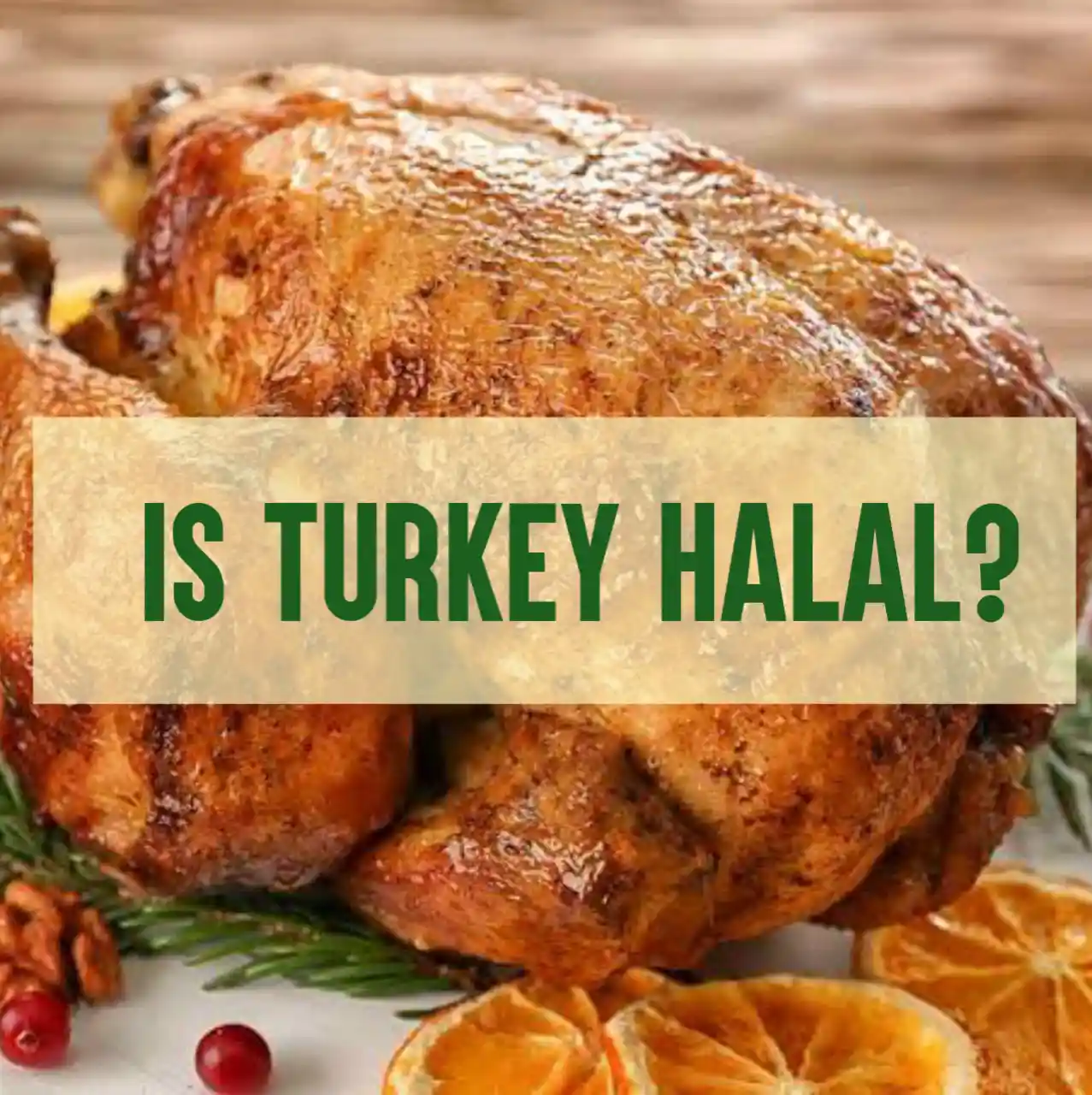 Is Turkey Halal