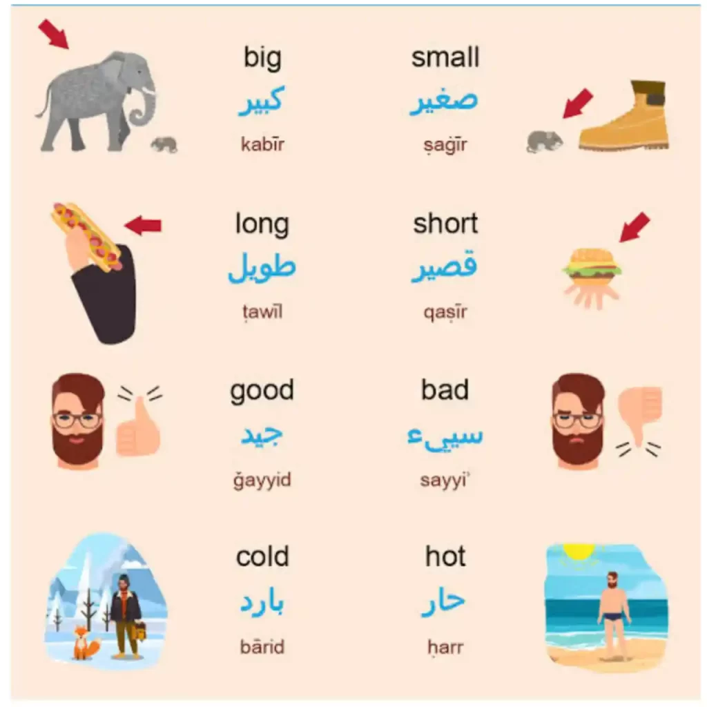 Adjectives In Arabic