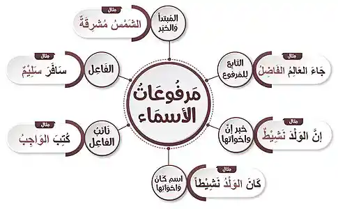 Nominative Case Arabic examples 