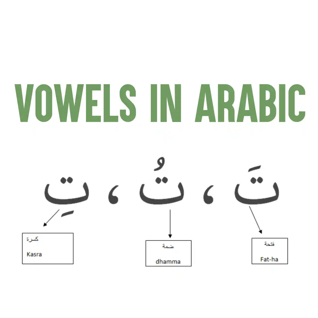 Vowels In Arabic