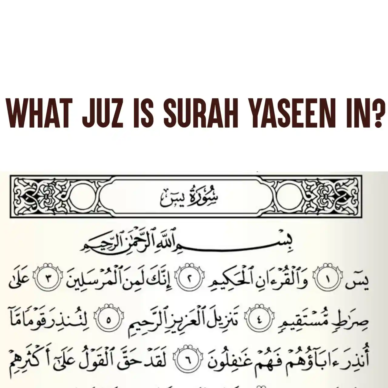 What Juz Is Surah Yaseen In