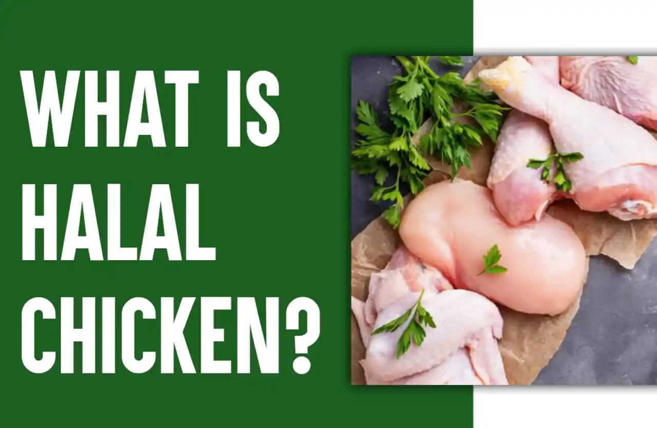 What Is Halal Chicken