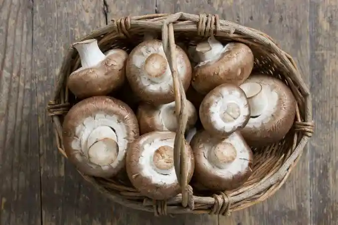 Are Mushrooms Halal