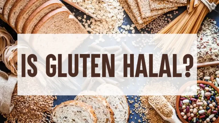Is Gluten Halal or Haram? The Answer You Should Know