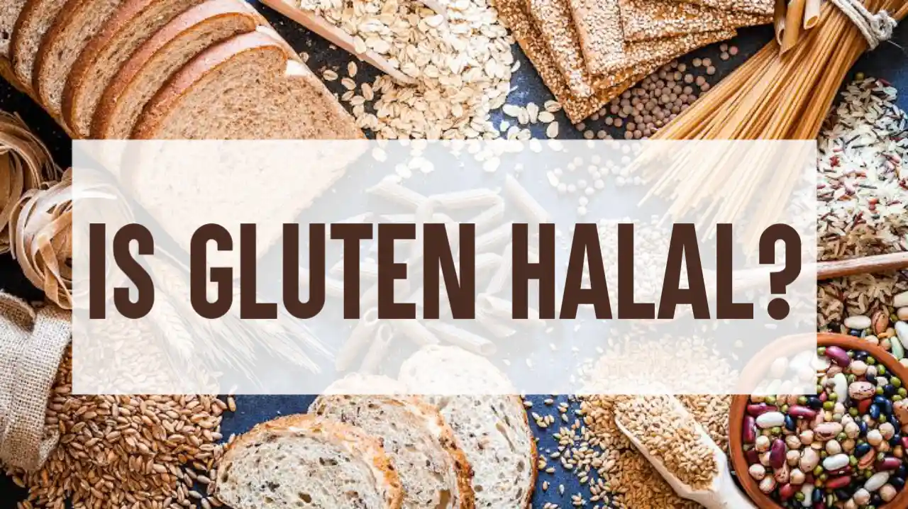 is-gluten-halal-or-haram-the-answer-you-should-know